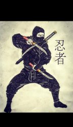 Ninja art Meme Template