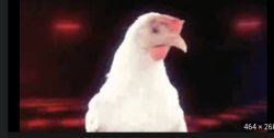 chicken banana Meme Template