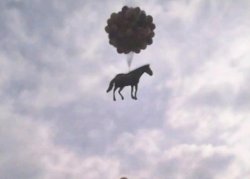 Ballon Horse Meme Template