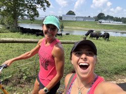 Frisky Cows Meme Template
