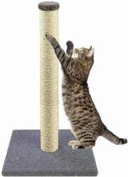 cat scratch Meme Template