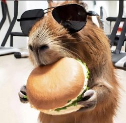 Capybara Meme Template