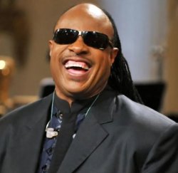 Stevie Meme Template