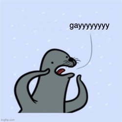 homophobic seal Meme Template