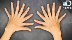 20 fingers meme Meme Template