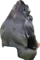 Cut gorilla Meme Template