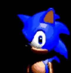 sonic staring Meme Template
