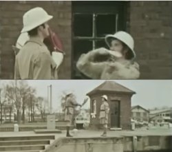 Fish Slap Dance Meme Template