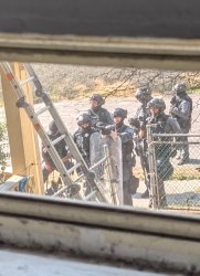 SWAT team uses ladder Meme Template