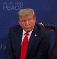 Trump thinking Meme Template