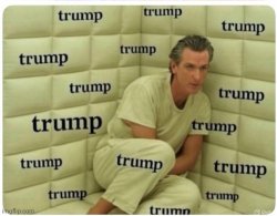 Gavin Newsom has Trump living rent free in his head Meme Template