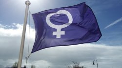 Feminist flag Meme Template