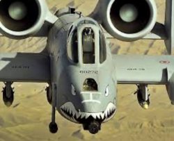 Warthog Meme Template