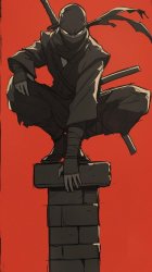 Ninja crouching Meme Template