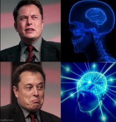 elon brain yes no Meme Template