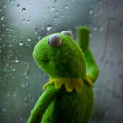 Kermit the frog window Meme Template