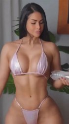 swimsuit Meme Template