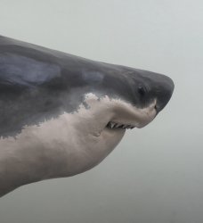 Cringe Shark Meme Template