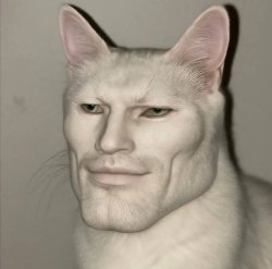 chad cat Meme Template