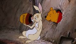 Rabbit Empty Honey Pot Meme Template