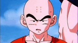 Krillin is disgusted Meme Template