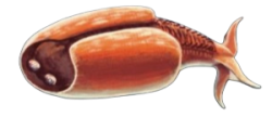 Nectocaris Pteryx Meme Template