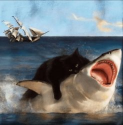 Shark Meme Template