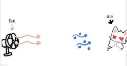 particles but its silly cat in love Meme Template