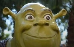 Shrek Meme Template