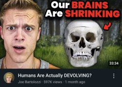 Our Brains Are Shrinking Meme Template
