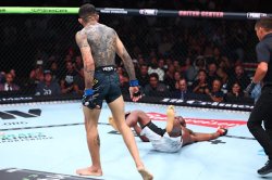 Calzone Knockout Meme Template