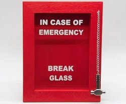 in case of emergency Meme Template