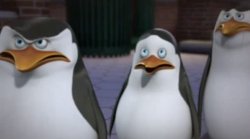 He called us haters. That makes me sad, Skipper Meme Template