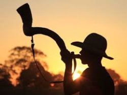 berrante Meme Template