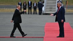 Trump red carpet Meme Template