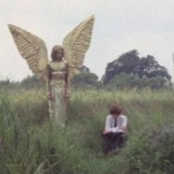 angel Meme Template
