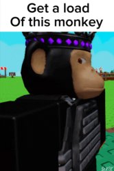 get a load of this monkey Meme Template