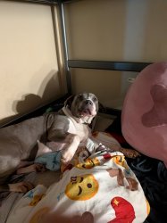 You Know When Dawg Meme Template