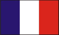 France Flag Meme Template