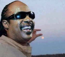 Stevie Wonder Meme Template
