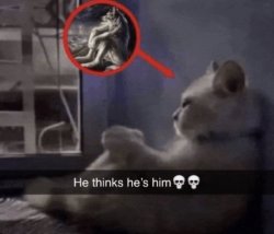 he thinks he's him (cat) Meme Template