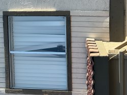 Cat in window Meme Template