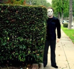 Hiding Meme Template