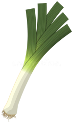 leek Meme Template