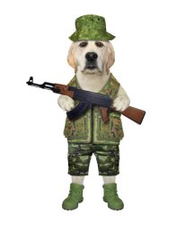 WE'RE READY Meme Template