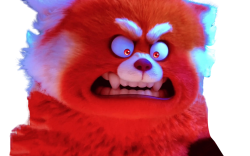 angry panda Meme Template