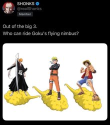 dragon ball in a nutshell Meme Template