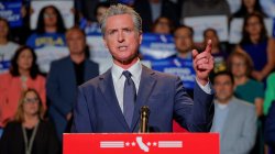 gavin newsom Meme Template