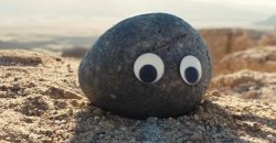 Stone with googly eyes Meme Template