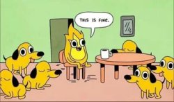 Dog Fire Reverse Meme Template
